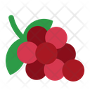 پیش‌نمایش فایل grape-3144604 از پک شراب