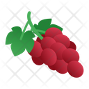 پیش‌نمایش فایل grape-3144638 از پک شراب