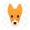 پیش‌نمایش فایل basenji-3180638 از پک نژاد سگ