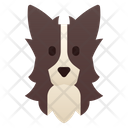 پیش‌نمایش فایل border-collie-3180640 از پک نژاد سگ