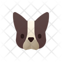 پیش‌نمایش فایل french-bulldog-3180649 از پک نژاد سگ