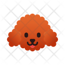پیش‌نمایش فایل miniature-poodle-3180624 از پک نژاد سگ