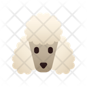 پیش‌نمایش فایل poodle-3180628 از پک نژاد سگ