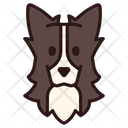 پیش‌نمایش فایل border-collie-3180659 از پک نژاد سگ