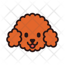 پیش‌نمایش فایل miniature-poodle-3180673 از پک نژاد سگ