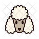 پیش‌نمایش فایل poodle-3180677 از پک نژاد سگ