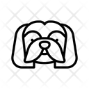 پیش‌نمایش فایل shih-tzu-3180607 از پک نژاد سگ