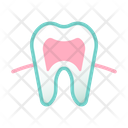 پیش‌نمایش فایل tooth-root-3192147 از پک مراقبت از دندان