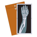 پیش‌نمایش فایل broken-arm-x-ray-5384099 از پک افراد توانایی پارا