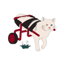پیش‌نمایش فایل disabled-cat-walking-with-support-of-wheelchair-5384107 از پک افراد توانایی پارا