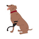 پیش‌نمایش فایل disabled-dog-with-leg-prothesis-5384108 از پک افراد توانایی پارا