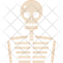 پیش‌نمایش فایل skeleton-6506223 از پک هالووین