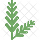 پیش‌نمایش فایل pine-branch-6840207 از پک کریسمس