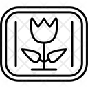 پیش‌نمایش فایل blossom-6964296 از پک متاورس