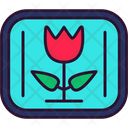 پیش‌نمایش فایل blossom-6964541 از پک متاورس