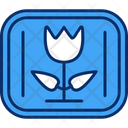 پیش‌نمایش فایل blossom-6964983 از پک متاورس
