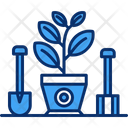 پیش‌نمایش فایل bulbous-plant-6994491 از پک خانه و زندگی