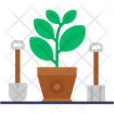 پیش‌نمایش فایل bulbous-plant-6994619 از پک خانه و زندگی