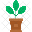 پیش‌نمایش فایل house-plants-6994674 از پک خانه و زندگی