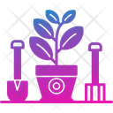 پیش‌نمایش فایل bulbous-plant-6994819 از پک خانه و زندگی