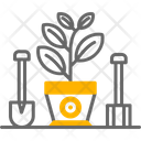 پیش‌نمایش فایل bulbous-plant-6994918 از پک خانه و زندگی