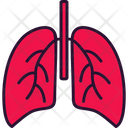 پیش‌نمایش فایل lungs-6996791 از پک داروخانه
