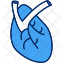 پیش‌نمایش فایل cardiology-6997127 از پک داروخانه
