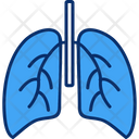 پیش‌نمایش فایل lungs-6997139 از پک داروخانه