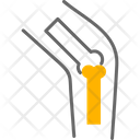 پیش‌نمایش فایل bones-6997619 از پک داروخانه