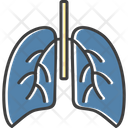 پیش‌نمایش فایل lungs-6997740 از پک داروخانه