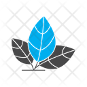 پیش‌نمایش فایل eco-6997884 از پک داروخانه