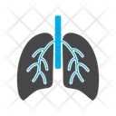 پیش‌نمایش فایل lungs-6997864 از پک داروخانه