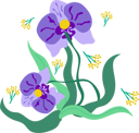 پیش‌نمایش فایل colorful-pansy-flourish-11587825 از پک گل‌های ارگانیک