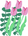 پیش‌نمایش فایل gentle-pink-tulips-11587832 از پک گل‌های ارگانیک