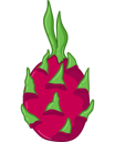 پیش‌نمایش فایل dragon-fruit-exotic-11587767 از پک تازه غذا