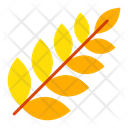 پیش‌نمایش فایل wheat-6275315 از پک اکتبرفست