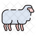 پیش‌نمایش فایل sheep-6376681 از پک قصاب