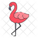 پیش‌نمایش فایل flamingo-9301333 از پک اقیانوس