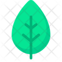 پیش‌نمایش فایل leaf-11598590 از پک دانشگاه