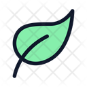 پیش‌نمایش فایل leaf-6163727 از پک خیریه