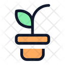 پیش‌نمایش فایل plant-pot-6169317 از پک طبیعت
