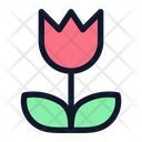 پیش‌نمایش فایل rose-plant-6169319 از پک طبیعت