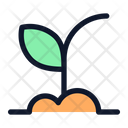 پیش‌نمایش فایل sprout-6169316 از پک طبیعت