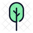 پیش‌نمایش فایل tree-6169324 از پک طبیعت