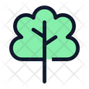 پیش‌نمایش فایل tree-oak-6169322 از پک طبیعت