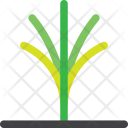 پیش‌نمایش فایل palm-tree-42 از پک شهر من است درخت