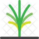 پیش‌نمایش فایل palm-tree-43 از پک شهر من است درخت