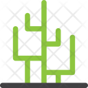 پیش‌نمایش فایل cactus-160 از پک م درخت