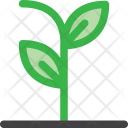 پیش‌نمایش فایل plant-512 از پک م درخت