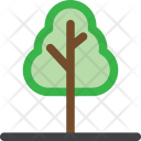 پیش‌نمایش فایل tree-976 از پک م درخت